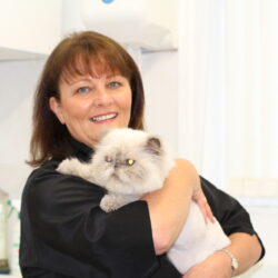 Cavendish Cat Grooming (South East England)