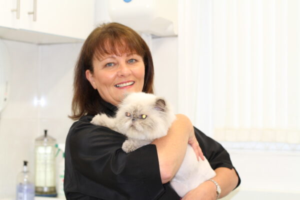 Cavendish Cat Grooming (South East England)