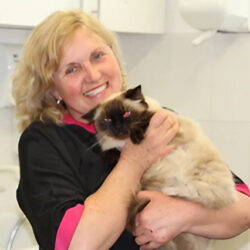 Portway Cattery & Cat Grooming (Oxfordshire)