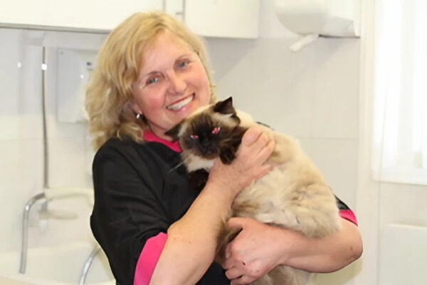 Portway Cattery & Cat Grooming (Oxfordshire)