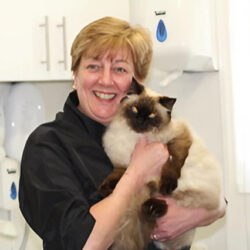 Smart Cats Grooming Salon (Essex)