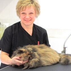 Soos Mobile Cat Grooming (Central Southern England)