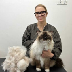 Pads Paws & Claws Pet Grooming (London)