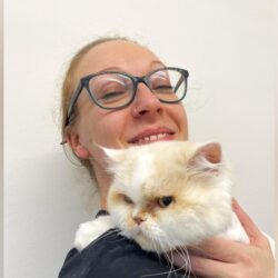 Furvana Cat Spa (Hants, Surrey, Berks) Furvana Cat Spa (Hants, Surrey, Berks)