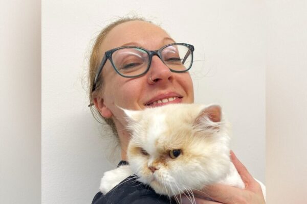 Furvana Cat Spa (Hants, Surrey, Berks)