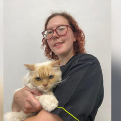 Clean Cats Grooming (Colchester)