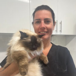 Michelle’s Cat Grooming (North & East London)