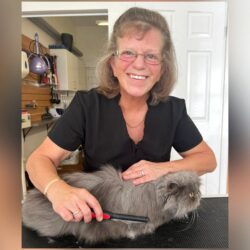Fabulous Felines (Southampton)