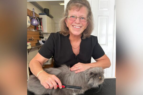 Fabulous Felines (Southampton)