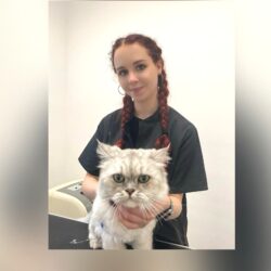 Scarlet’s Paws (Fleet)